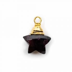 Birthstone Pendant Star January Garnet 925 Silver (10 mm)