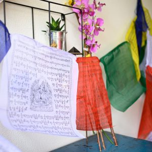 Prayer Flags Tibetan Large (25 flags - 8 metres long)