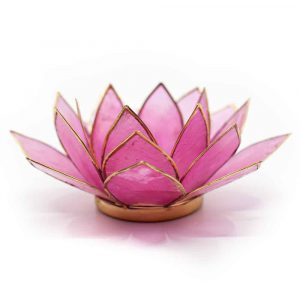 Lotus Mood Light Pink Gold Rim