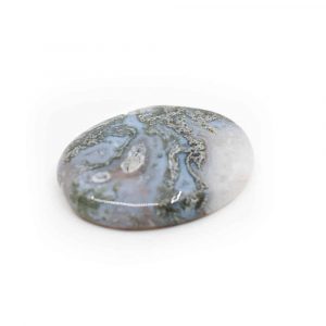 Worry Stone Tree Agate