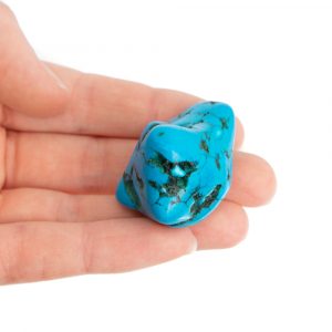 Palm Stone Turquoise (20 - 40 mm)