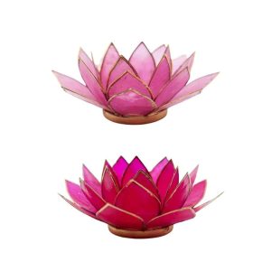 Pink Lotus Sphere Lights Set - Bundle